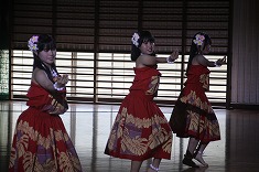 IMG_7764