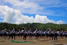 s2IMG_8728