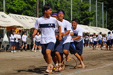 s11IMG_8951