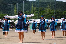 o1伊