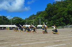 o4金