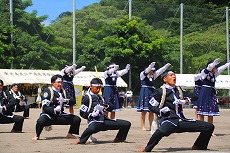 o6中