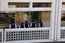 IMG_2659