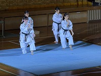 karate2