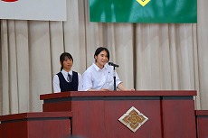 IMG_2978