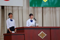 IMG_2991