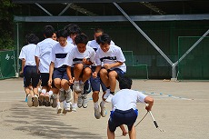 IMG_4014
