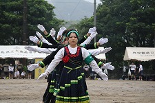 IMG_4517