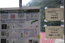 IMG_5397